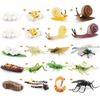 Realistische PVC-Tiertier-Modellspielzeuge Schnecke Libelle Mücke Heuschrecke Lebenszyklusstadien Pädagogische Ausstellungsfiguren