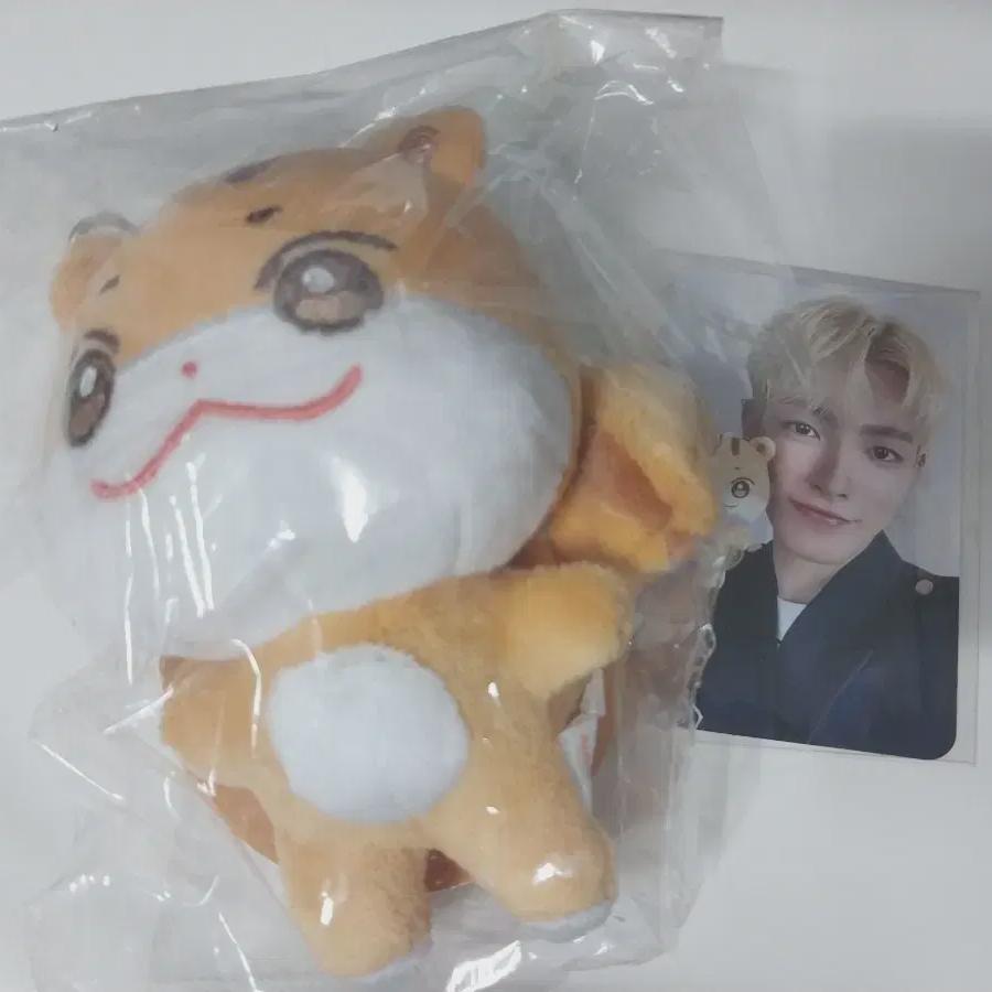 

Ateez Anyes Zungrami Photocard Set