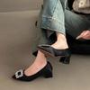 Elegant temperament thick heel single shoes year-round legs long pointed head satin Korean version high heels college style