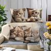 1/4pcs Cute Kitten Pattern Pillowcases Sofa cushion cover home bedroom room decoration