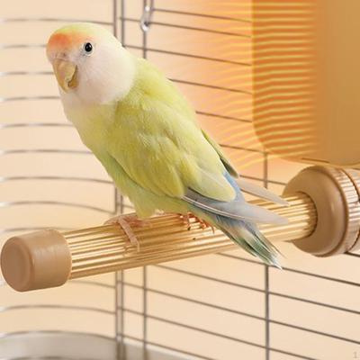 Kuş – Kuşlar için oyuncaklar