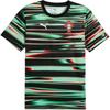 Drycell Portugal Pre-Match Gradient Crew Neck Short Sleeve Football Shirt Men Tops Black Green 779612-18