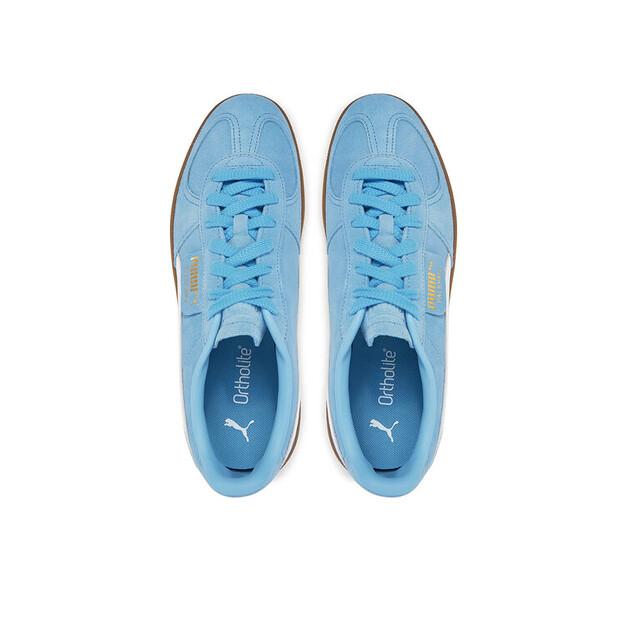 Мужские кроссовки Puma Palermo team 396463 44 синий