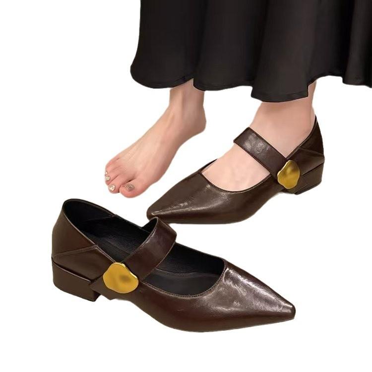 French thick heel Velcro shallow mouth single shoes women's 2025 spring and autumn new pointed foreign style versatile Mary Jane small leather shoes