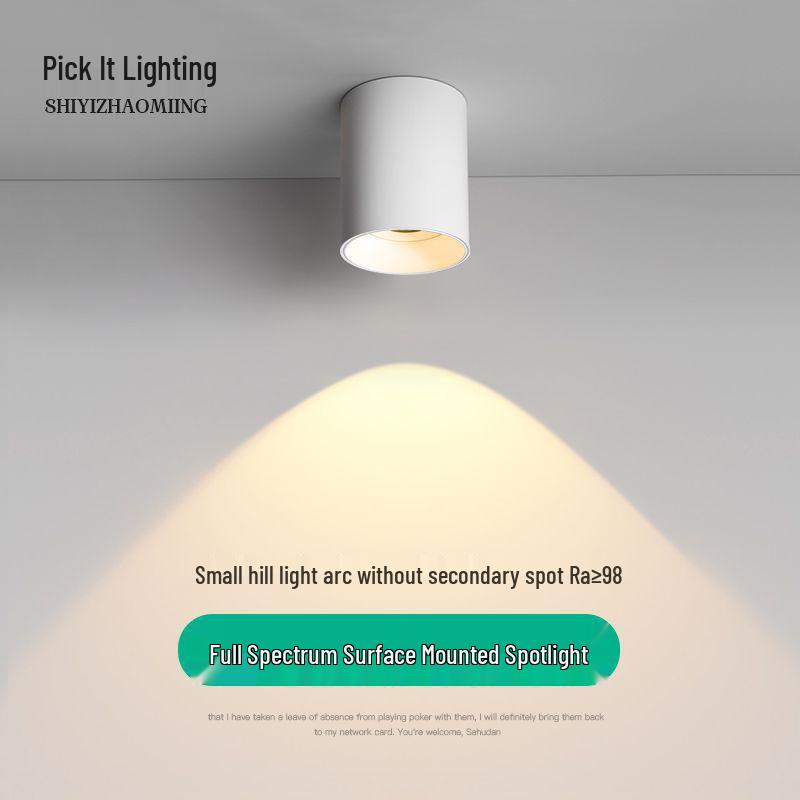 Compact Adjustable Angle LED Ceiling Spotlight for Bedrooms and Living Rooms