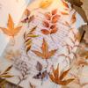 Sugar Poetry Plant Light Scenery Sticker Pack: Fresh Style for Children's Journals, DIY Decor, and Collage Projects.