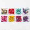 Nail Art Dried Flower, Japanese Monet Garden Color Scheme Petal Small Floral Mixed Nail Dried Flower