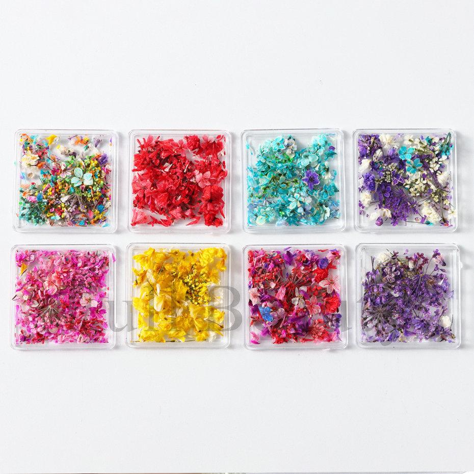 Nail Art Dried Flower, Japanese Monet Garden Color Scheme Petal Small Floral Mixed Nail Dried Flower