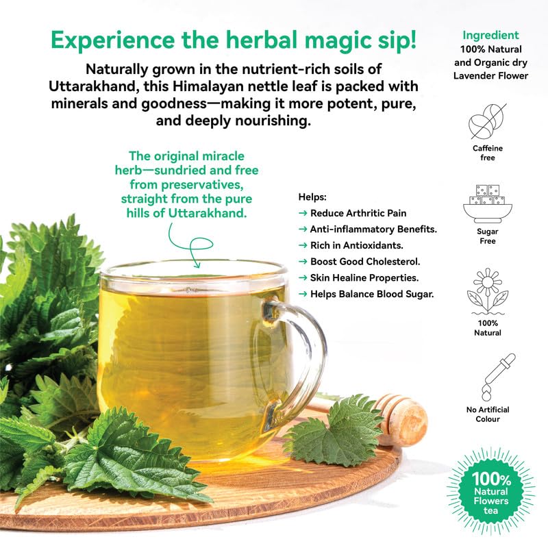 Tea Troops Himalaja Brennnessel Tee 50g | Kräuter Detox loser Tee | 100% Natürlich & Koffeinfrei | Entzündungshemmend, Immunstärkend & We