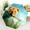 Chow Chow and Grass Pattern, Automatic Folding Umbrella, Portable and Foldable Design, 8 Ribs, a Christmas or Birthday Gift.