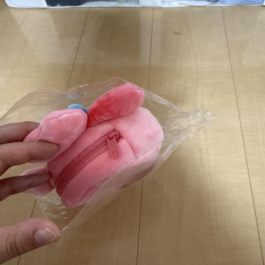 [USED] TWICE X Sanrio Face Pouch My Melody Momo