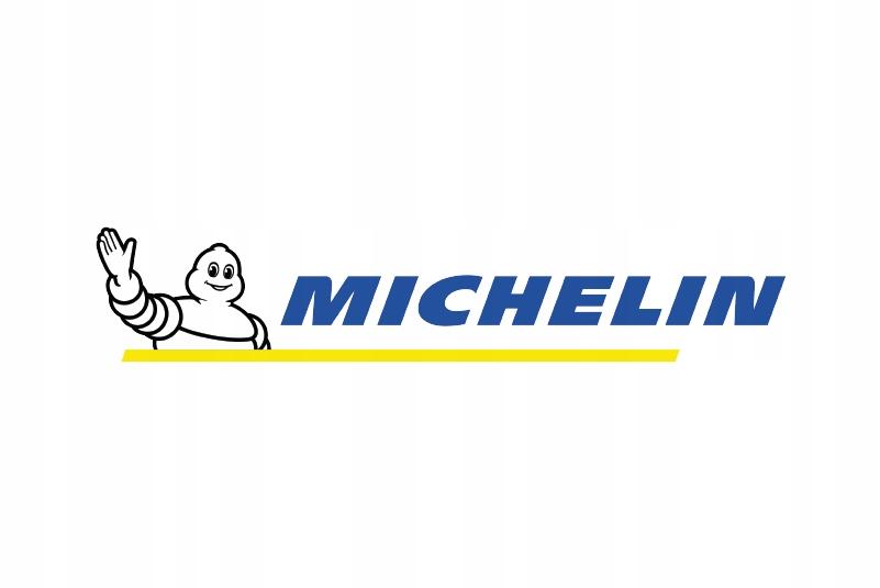 Glass Foam Cleaner 650 MICHELIN