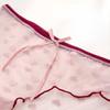 Lace Underwear Lingerie for Women Transparent Sexy Panties