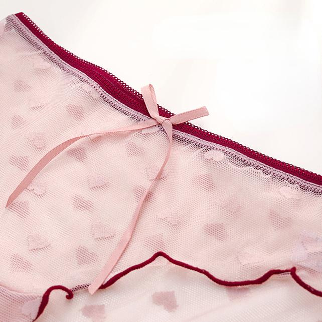 Lace Underwear Lingerie for Women Transparent Sexy Panties