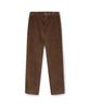 Pantalons en velours côtelé USPOLOASSN_Marron
