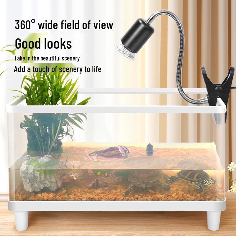 Small Acrylic Transparent Fish Tank with Bottom Drainage for Desktop or Living Room