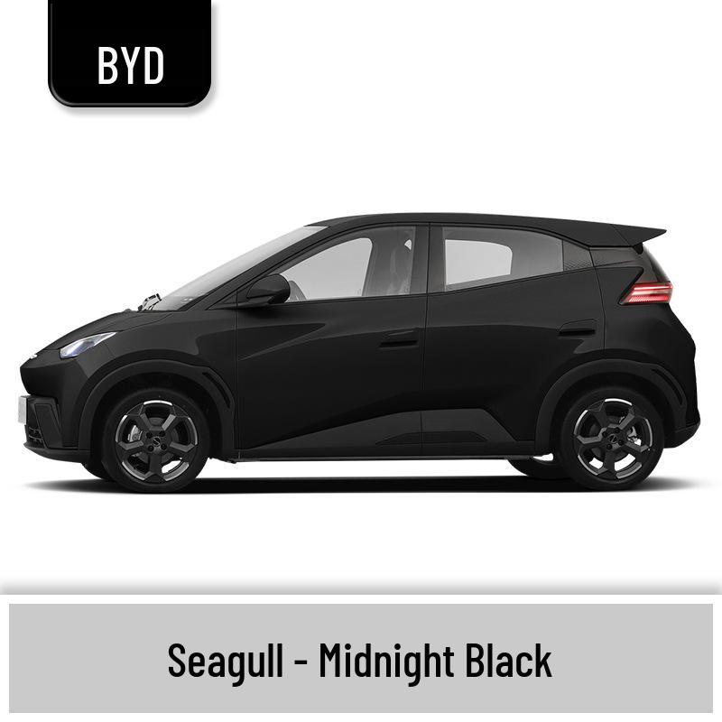 BYD Seagull Touch-Up Paint & Scratch Repair Pens with Paint Removal Tools