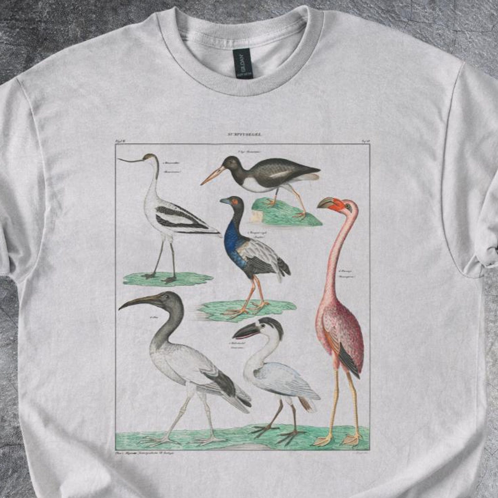 Bird Species Chart Shirt Ornithology Illustration Tshirt Cotton Style Tee Short Sleeve Gray 150