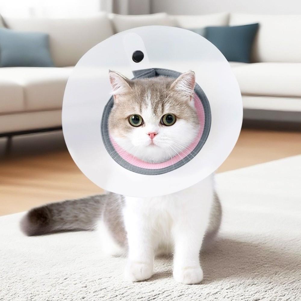 Breathable Pet Protective Collar Bite Resistant Transparent Anti-Bite Collar Adjustable Anti-Scratch Elizabethan Collar Training
