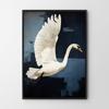Poster Schwan Abstraktion Bild