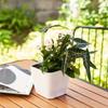 Double Layer Self-Watering Plant Pots With Water Level Meter Lazy Planter Pot  Home