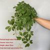 Wandmontierte Monstera-Ranke für die Innendekoration: Hängende Efeutute und laminierte grüne Zweige