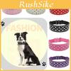 Fashion-forward Pet Collar Chain With Sparkling Rhinestone Accents Available In Various Colors