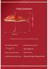 Red Chinese Wedding Umbrella for Bride's Welcome and Dowry