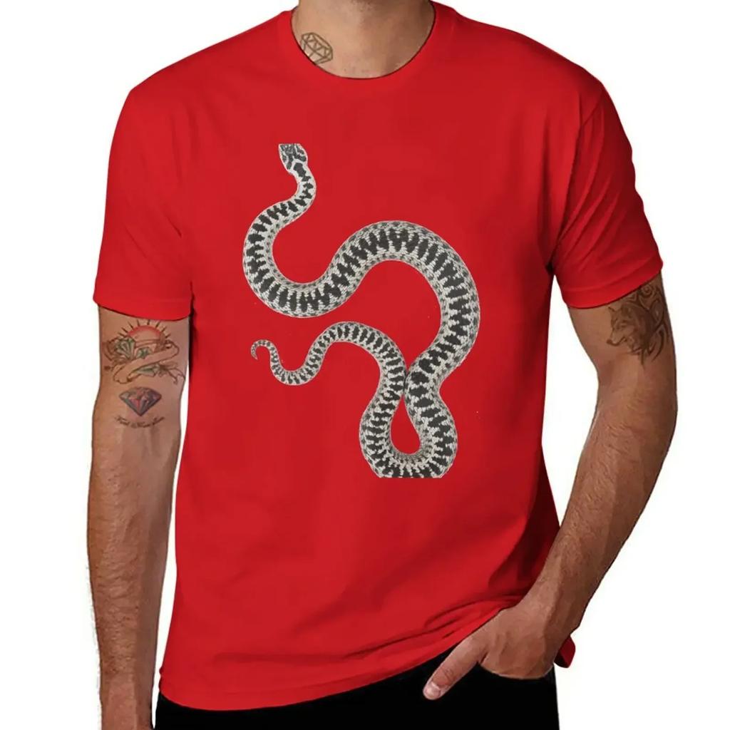 Vipera Berus Berus, Male T-Shirt New Edition Heavyweights Customs Design Your Own T Shirts for Men Graphic