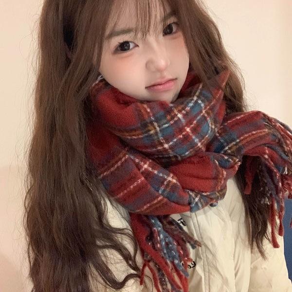 New Soft Imitation Cashmere Tassel Plaid Scarf Winter Female Couple Shawl Red Cold Proof Versatile Thickened Scarf