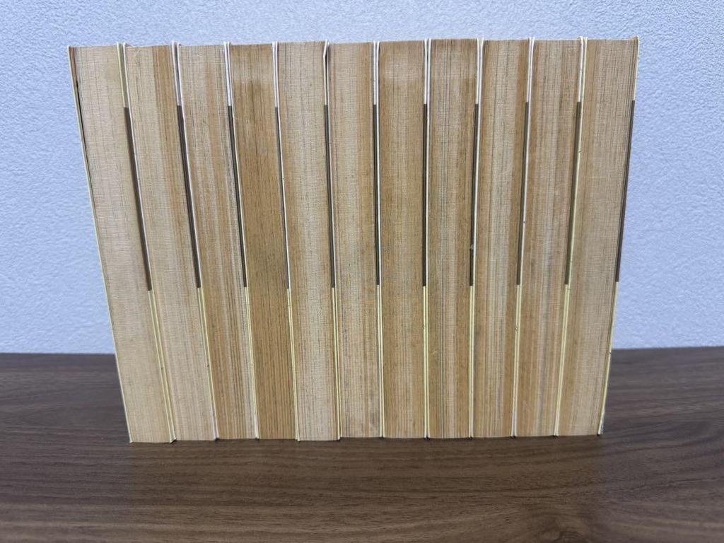 [USED] Rare Item: Kenshi Hirokane's Early Works, Complete 11-volume Set (all First Editions)