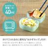 Foodman Slim Bento 600ml Side Dish Double Secure with CB DSK Box, Antibacterial, [Includes Cup], Gray, Leak-Resistant Sealing, 4-Point Lock, Japan,
