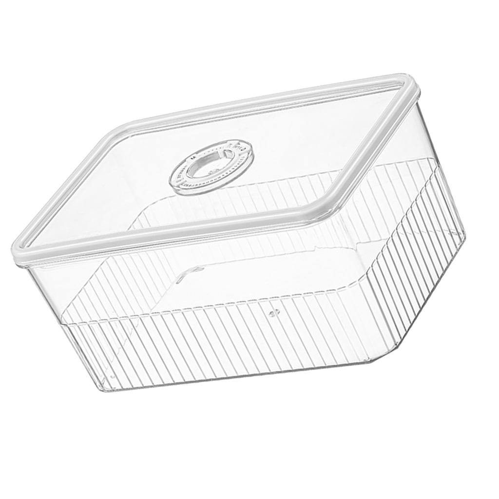 Refrigerator Storage Box with Lids Plastic Transparent Sealed Fridge Food Storage Containers for