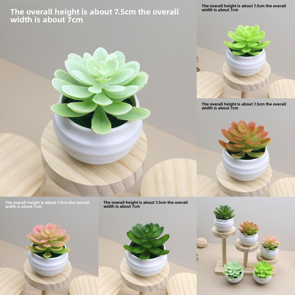 Faux Succulent Plant Lotus Potted Plant For Bedroom Or Workspace