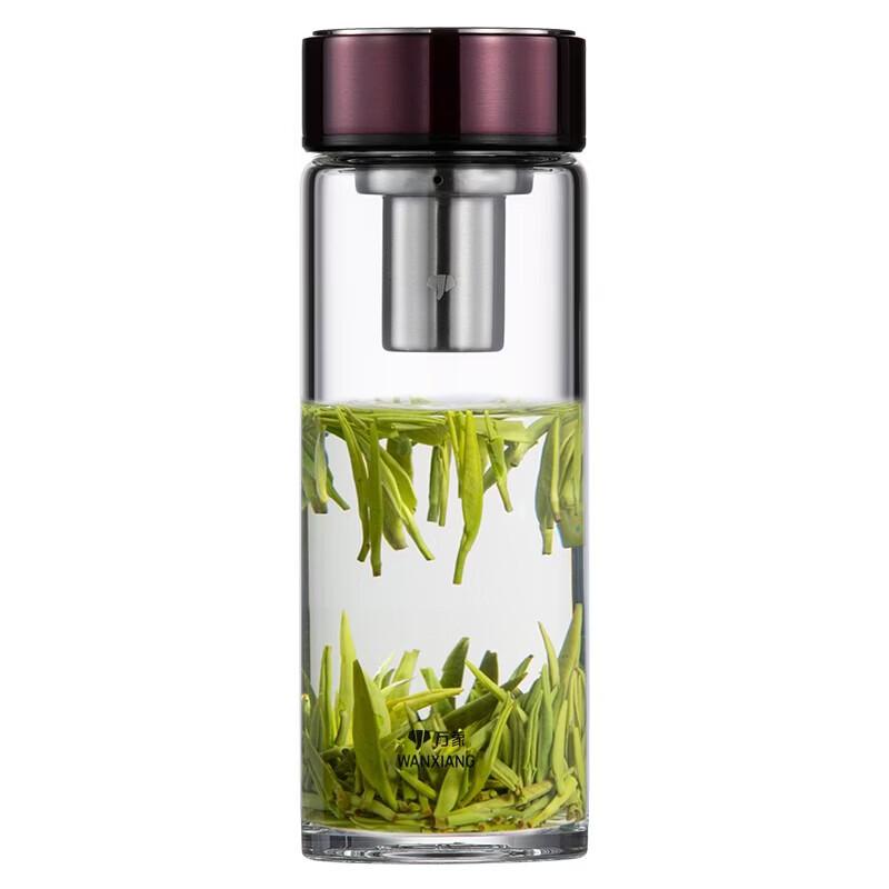 WANXIANG Large Capacity Borosilicate Glass Tea Infuser Bottle