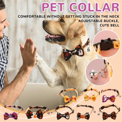 Îmbrăcăminte și încălțăminte – Accesorii pentru câini