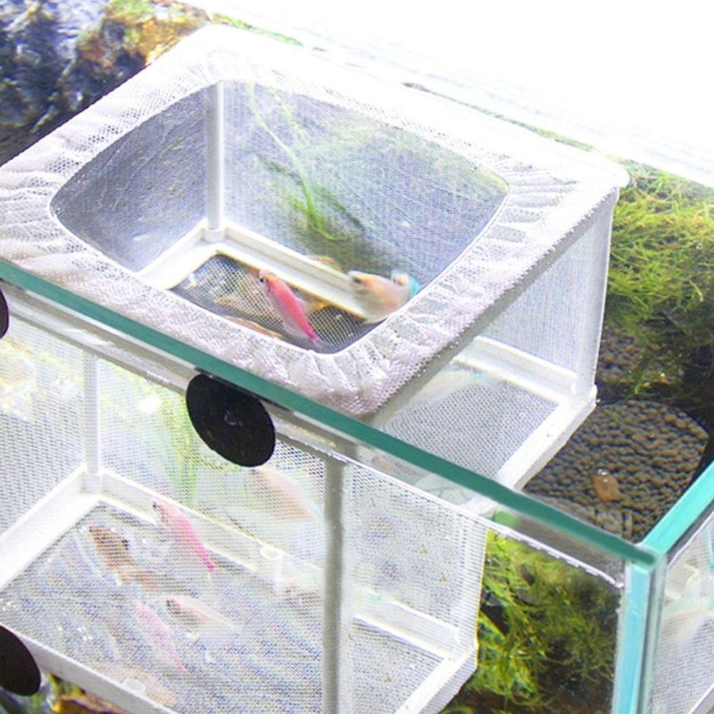Hanging Aquarium Accessory Fish Breeding Breeder Box Fish Tank Incubator Incubator Box Breeding Box
