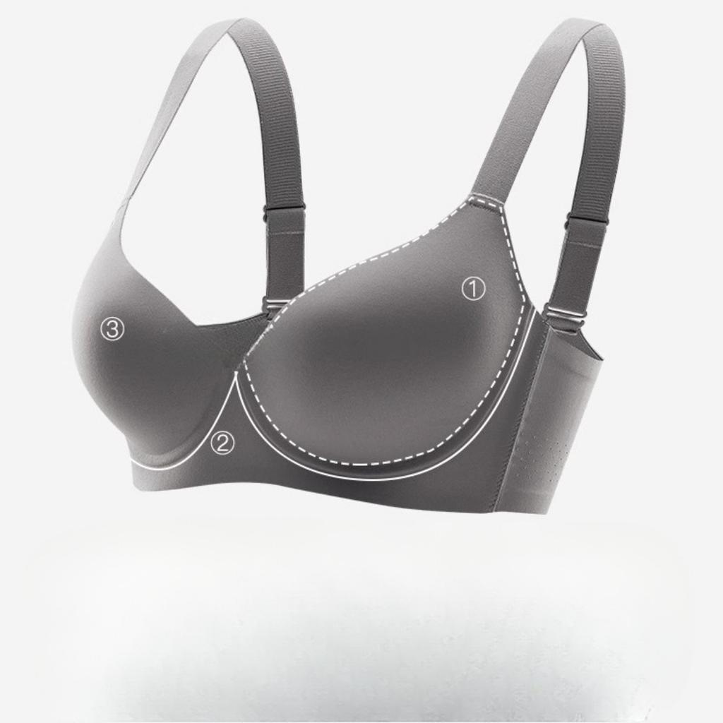 Polyamide Monochrome Bra Elegant Womens With Comfortable Steel Ring Support Nonremovable Padding Knitted Fabric Adult Lingerie