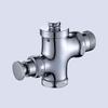 Longdai Self-Closing Delay Toilet Flush Valve & Pipe