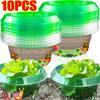 10/1x Plants Slug Protection Rings Vegetables Cover Plant Snail Collar Green Planter Flower Pot Pest Control Trapper Garden Tool
