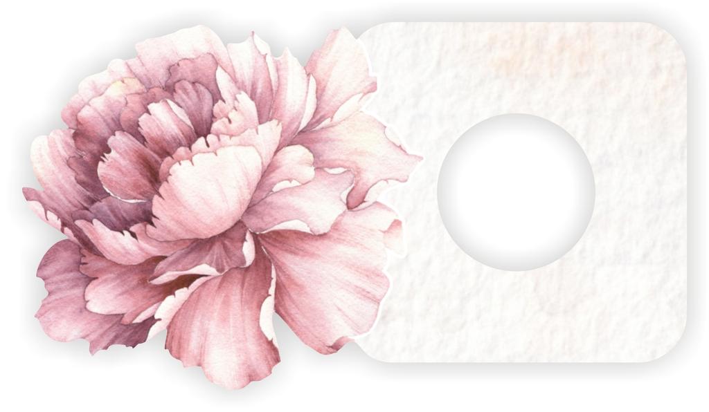 Protective Sticker for a Switch in a Child' Room - Peony