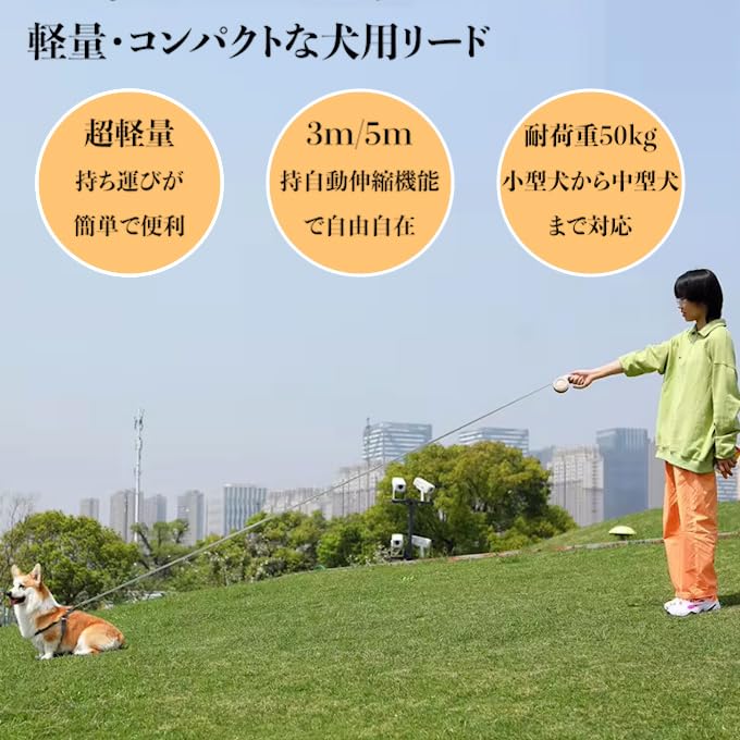 Dog Load Capacity Reel Flexi Locking Easy to Operate with One For Small and Medium Dog Pet Outdoor Activity Supplies Lead, Extendable, 5M/3M, 50kg,