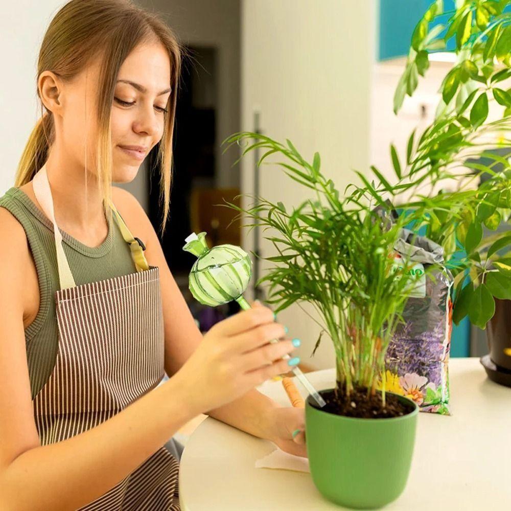 Automatic Cactus Self Watering Planter Cactus Glass Automatic Plant Watering Bulbs Cute Plant Water Feeder Glass Bulbs Indoor