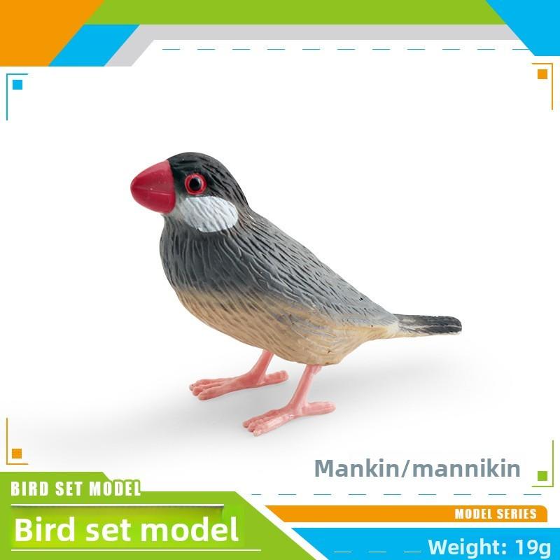 Mandarin Duck Bird Model Pvc Realistic Parrot Desktop Decor For Kids And Collectors