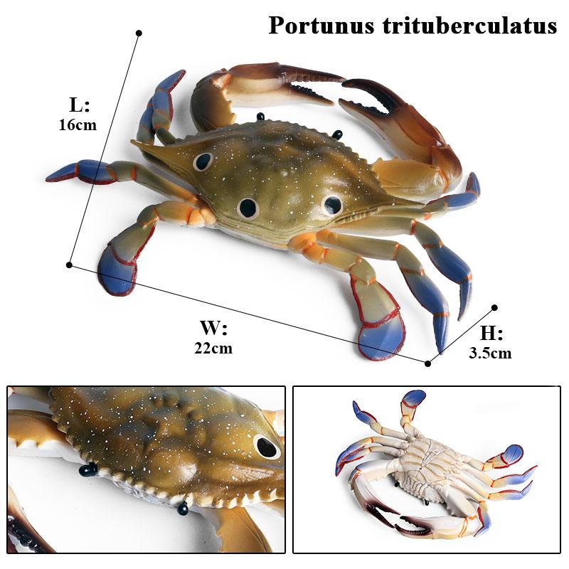 Oenux Simulation Ocean Sea Life Animals Model Lovely Crab Action Figures Toy Cake Toppers Collection Jouet Kids Education Gift