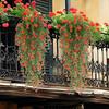 Artificial Hangable Plants 2Pieces Artificial Eucalyptus Greenery Realistic UV Resistant Wall Decoration For Living Room Patio