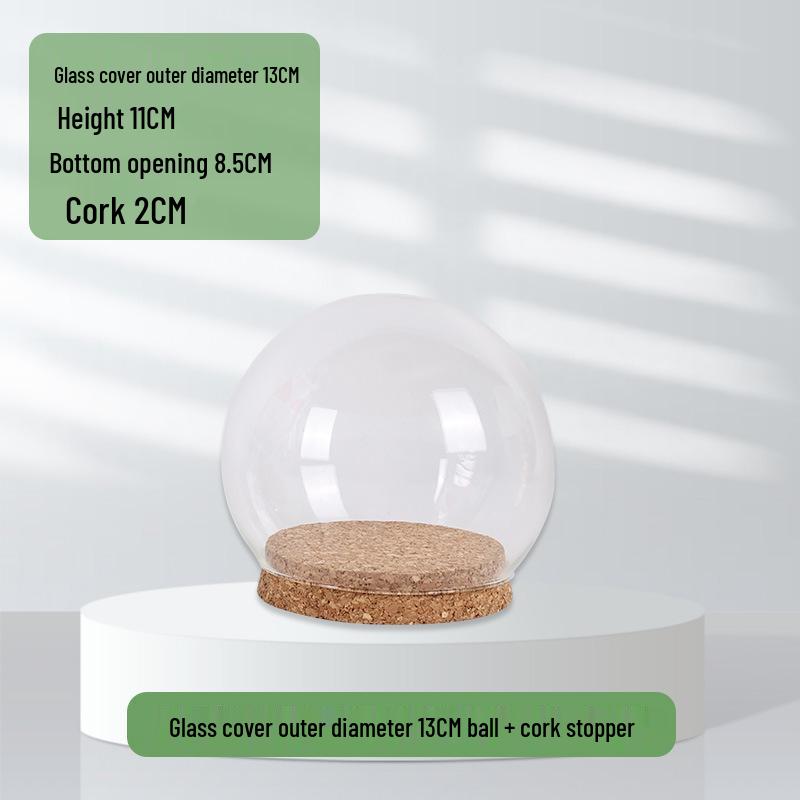 Ins Style Preserved Flower Glass Dome with Cork Base - Creative Dustproof Display Ornament
