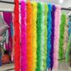 DIY 18g Colorful Marabou Boa White Turkey Feather Boas Shawl for Wedding Cosplay Clothing Accessory Decoration Boa Plume 2Yards Long