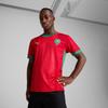 Puma Marokko Heimtrikot 2024 Fußball Trainingsshirt Rot