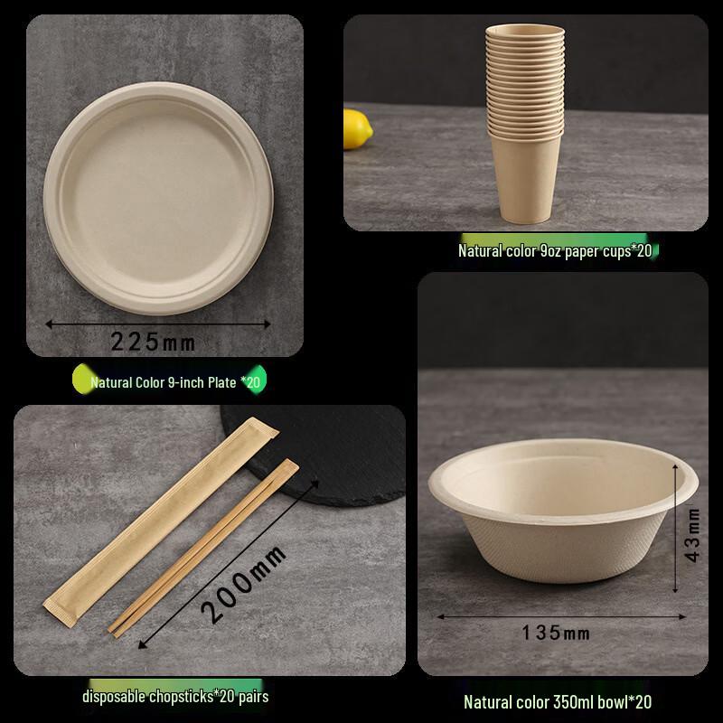 

OIMG 4-Piece Biodegradable Paper Tableware Set